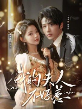 我的夫人不好惹 你好，我的旅长夫人全集