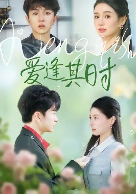 爱逢其时全集