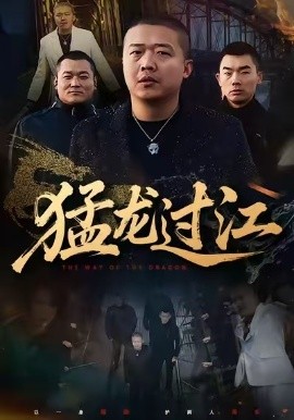 猛龙过江全集