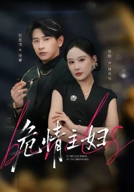 危情主妇全集
