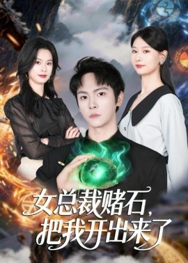 女总裁赌石，把我开出来了全集