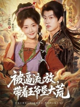 被逼流放，带着王爷垦大荒全集