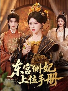 东宫侧妃上位手册全集