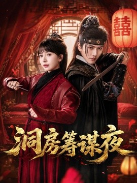 洞房筹谋夜全集