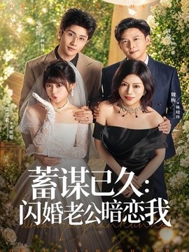 蓄谋已久：闪婚老公暗恋我全集