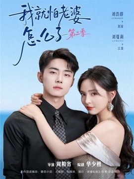 我就怕老婆怎么了第二季全集