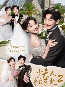 少夫人来自东北2全集