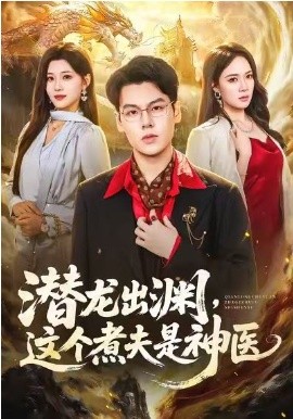 潜龙出渊，这个煮夫是神医全集