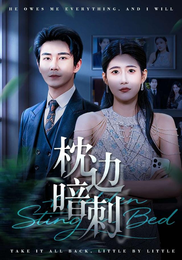 枕边暗刺全集