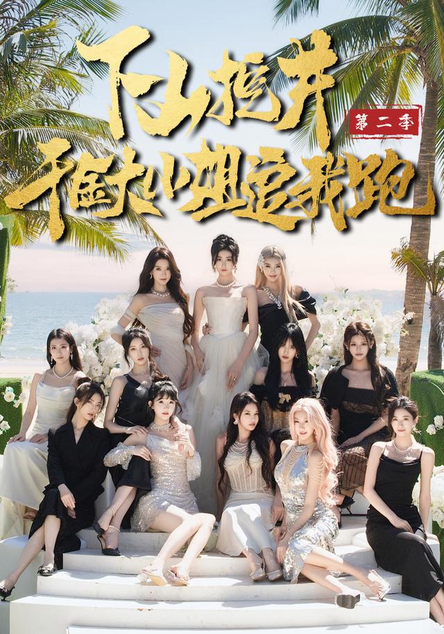 下山挖井2，千金大小姐追我跑全集