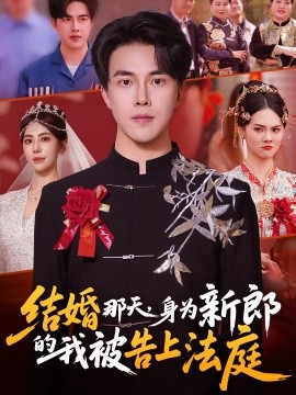 结婚那天，身为新郎的我被告上法庭全集