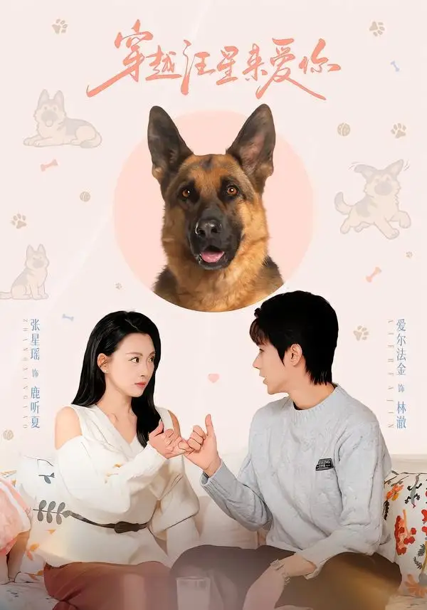穿越汪星来爱你全集