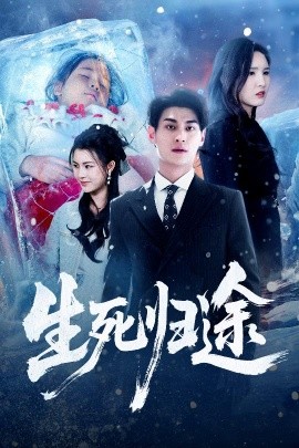 生死归途全集