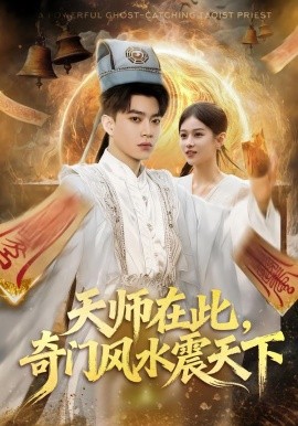 天师在此，奇门风水震天下全集