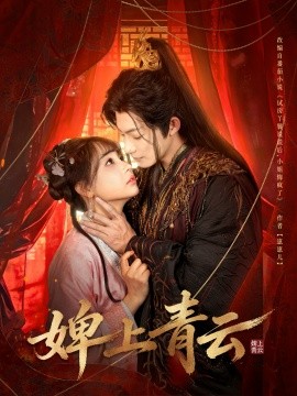 婢上青云全集