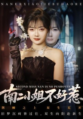 南二小姐不好惹全集