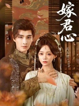 嫁君心全集