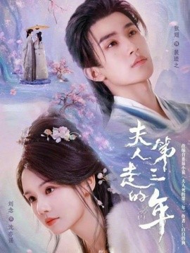 夫人走的第三年全集