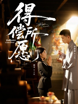 得偿所愿全集