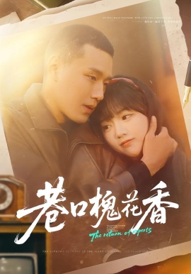 巷口槐花香全集