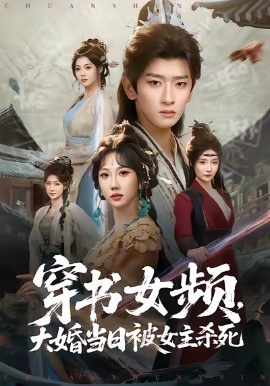 穿书女频，大婚当日被女主杀死全集