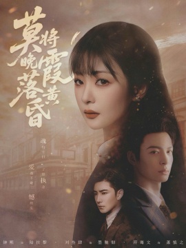 莫将晚霞落黄昏短剧全集