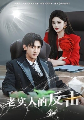 老实人的反击全集