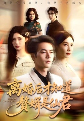 离婚后才知道赘婿是仙君全集