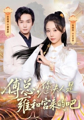 傅总，您夫人是雍和宫来的吧全集