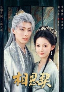 相思契全集