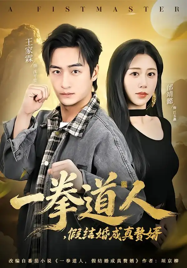 一拳道人，假结婚成真赘婿全集