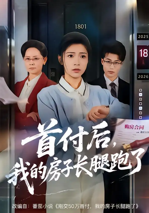 首付后，我的房子长腿跑了全集