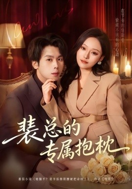 裴总的专属抱枕全集