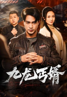 九龙丐婿全集