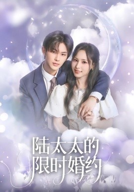 陆太太的限时婚约全集