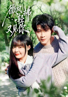 微风轻拂又见你全集