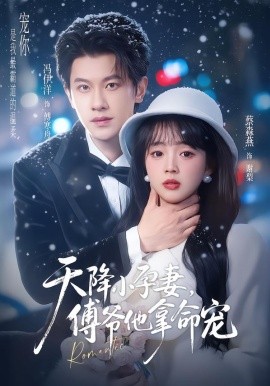 天降小孕妻，傅爷他拿命宠全集
