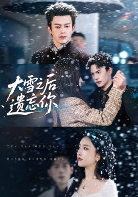 大雪之后遗忘你全集