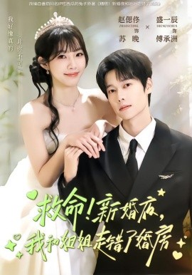 救命！新婚夜，我和姐姐走错了婚房全集