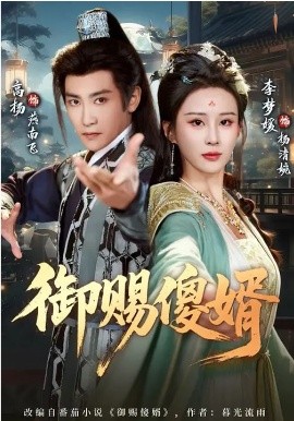 御赐傻婿全集