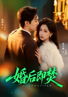 婚后即焚全集