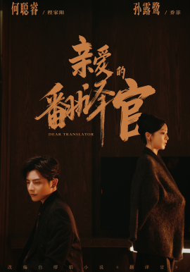 亲爱的翻译官全集