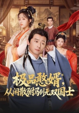极品憨婿，从闲散驸马到无双国士全集