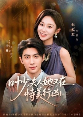 叶少，夫人她又在恃美行凶全集