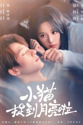 小猫捉到月亮啦全集