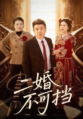 二婚不可挡全集