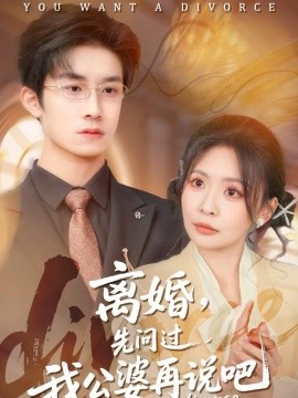 离婚，先问过我公婆再说吧全集