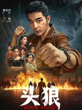 头狼全集