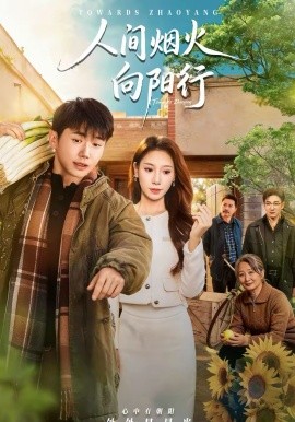 人间烟火向阳行全集