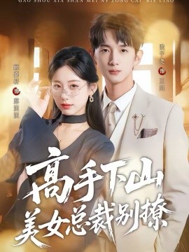 高手下山美女总裁别撩全集